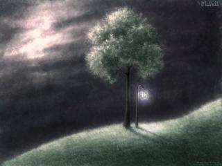 обои Дерево и фонарь в поле, ночь фото