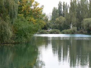 обои Озеро в парке фото