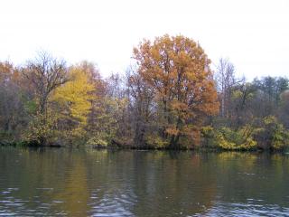 обои Осень на реке Лопань фото