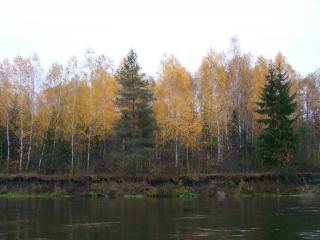 обои Осенью на реке под Харьковом фото