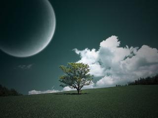 обои Луна, облака и дерево фото