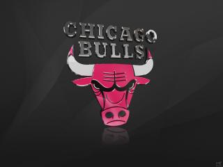 обои NBA Chicago Bulls фото