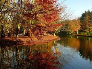 обои Осенний парк фото