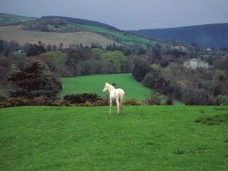 обои Wicklow Countryside, Near Powerscourt Castle, Ireland фото