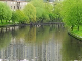 обои Весенний пруд и деревья фото