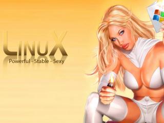 обои LinuX  Poweful - Stable - Sexy фото