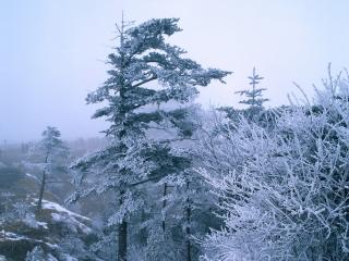 обои Зима в китайских горах фото