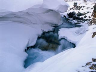обои Зимний ручей пробиваясь сквозь лёд и снег фото