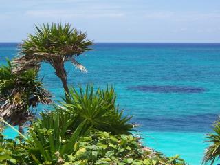 обои Райское место с лазурным морем и зелёными пальмами фото