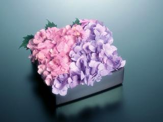 обои Коробка, полная бледно-розовых и сиреневых цветков фото