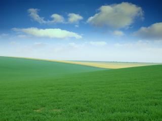 обои Хорошая погода над бескрайним зелёным полем фото