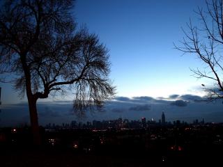 обои Ночные огни бессонного мегаполиса видны из тихого парка фото