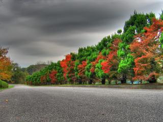 обои Красно-зелёная аллея вдоль автострады фото