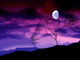 обои Луна и Деревце фото