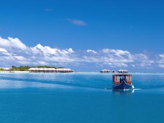 обои Мальдивы, остров Дхони фото