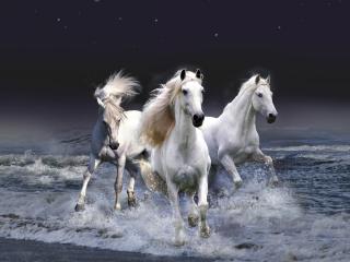 обои Три белых коня мироздания и мировой океан фото