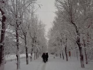 обои Город зимой фото