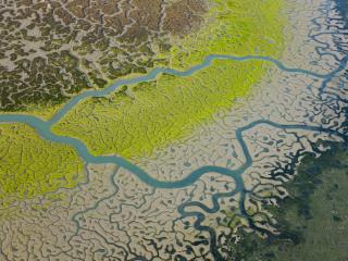 обои Вид из космоса на реку и прилегающие земли фото