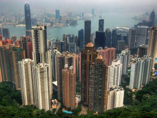 обои Город Гонконг, окружённый лесами фото