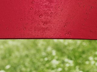 обои Под красным зонтиком в дождь весной фото