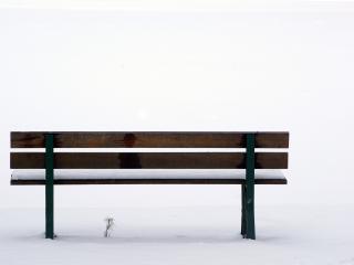 обои Пустынная скамейка в снежном парке фото