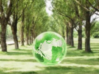 обои Надувной, зелёный глобус в зелёной аллее фото