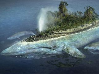 обои Остров на ките фото