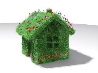 обои Уютный домик из травы и цветов фото