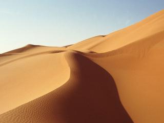 обои Прогулка по безжалостным, жарким пескам пустыни фото
