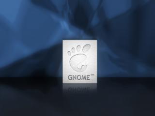 обои Лапка на квадратике "Gnome" на зеркальном полу фото