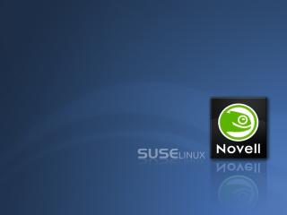 обои Ящерка в лого - "suse Linux Novell" фото