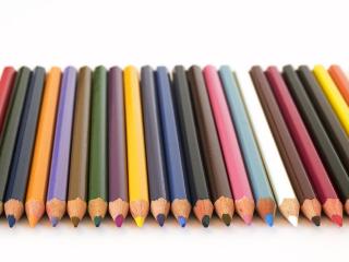 обои Много цветных карандашей фото