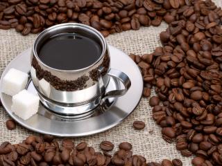 обои Чашка крепкого кофе в море кофейных зерён фото