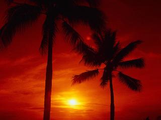 обои Гавайский рассвет фото