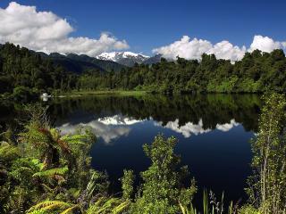 обои Озеро среди густых лесов у горы фото