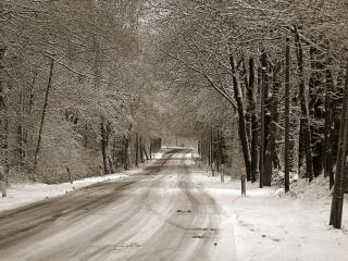 обои Грязная, размазанная дорога в снежном лесу фото