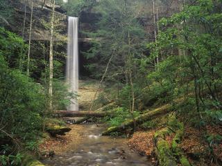 обои Водопад в национальном парке Кентукки фото