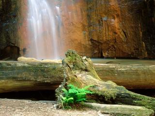 обои Водопад Ручья Ягоды, Большой Парк государства Редвудза Бассейна, Калифорния фото