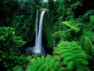 обои Водопад Фуиписия, Остров Уполу, Острова Самоа фото