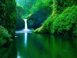 обои для рабочего стола: Водопад Шара Удара, Орлиная Глухая Область Ручья, Ущелье Реки Колумбии, Орегон