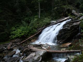 обои Лесной водопад фото