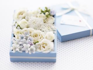 обои Белые цветы и жемчуг в синей коробочке фото