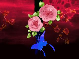 обои Розовые пионы и бабочка на багрово-красном фото