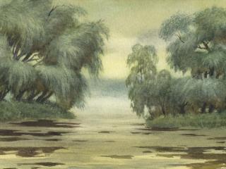обои Диковинные деревья на берегу озера фото
