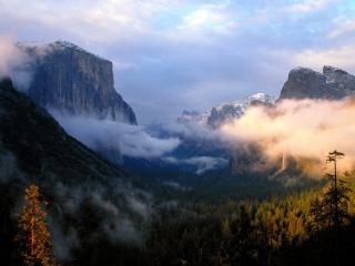 обои Национальный парк Йосемите, Калифорния фото