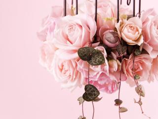 обои для рабочего стола: Розовые розы