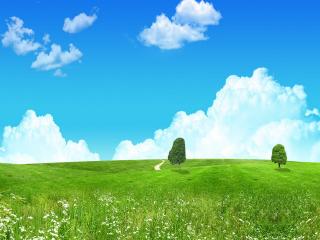 обои Зеленая долина голубое небо два дерева фото