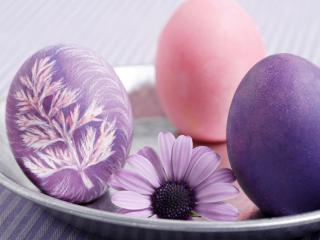 обои 3 пасхальных яйца и фиолетовый цветочек на металлической тарелке фото