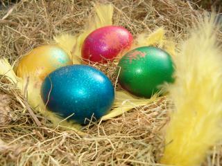обои Яйца, лежащие на соломке и украшенные желтыми перьями фото
