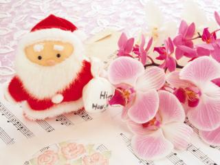 обои Дед Мороз с подарками рядом с цветами фото